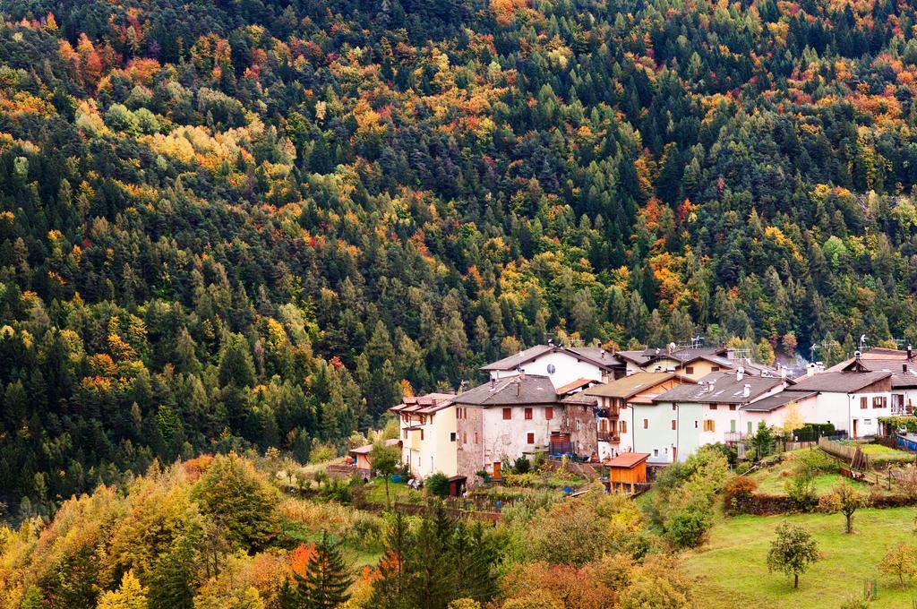 Hostel L'Ost - Ostello Di Grumes Екстериор снимка