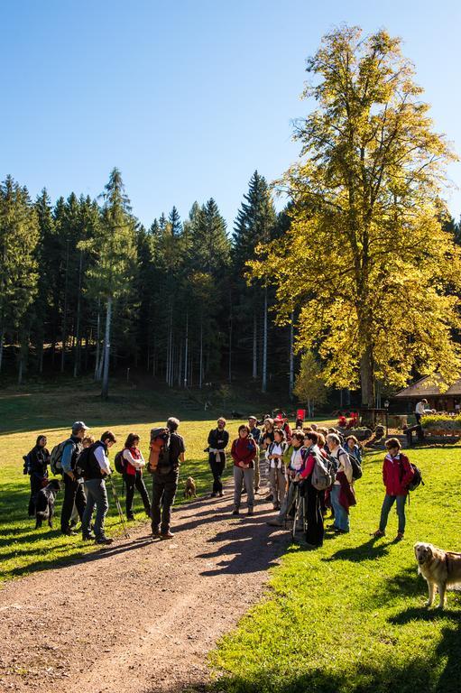 Hostel L'Ost - Ostello Di Grumes Екстериор снимка